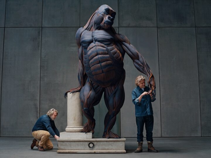 The Art of Denim Anatomy: G-Star Collaborates with Dutch Artists Darwin, Sinke & van Tongeren for the Creation of “The Denim Gorilla”