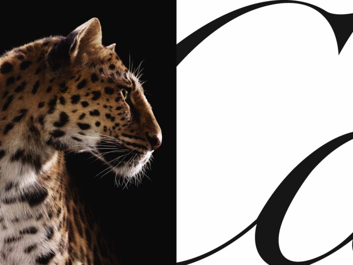 CARTIER CELEBRATES THE ICONIC PANTHER – IN THE WILD