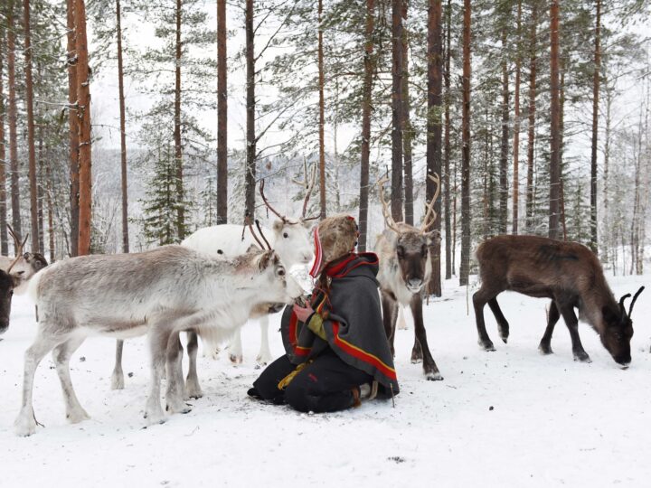 THE VOICE: Anna Kuhmunen on how Europe is failing its only Indigenous people