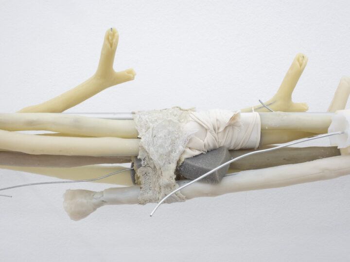 Fräulein Talents: Paula Oltmann